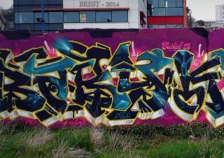 Brest 2014